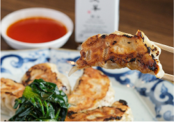 鮫餃子